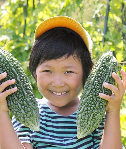 しまくとぅば単語帳 イメージ