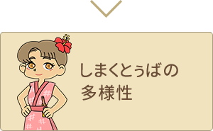 しまくとぅばの多様性