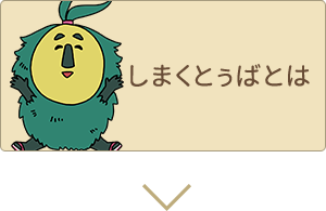 しまくとぅばとは